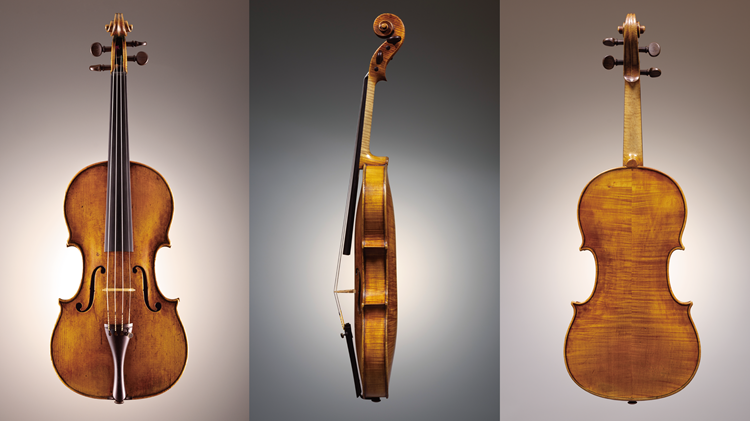 アルムヌス・アマティ