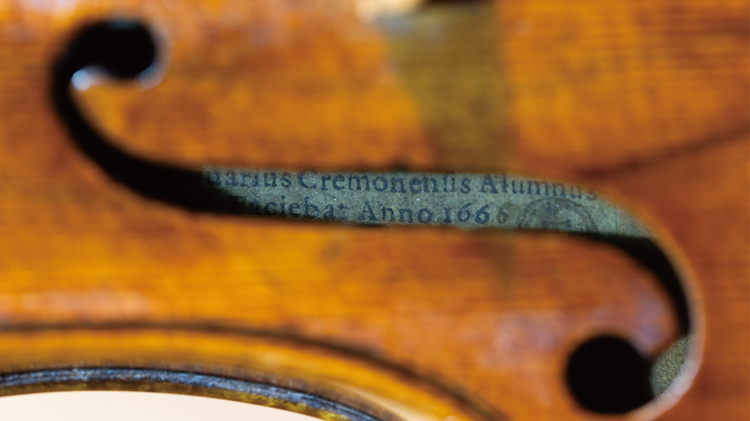 アルムヌス・アマティ